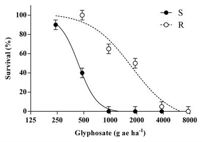 First Case of Glyphosate Resistance in Bromus catharticus Vahl.: Examination of Endowing Resistance Mechanisms